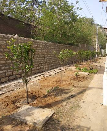 Z6尊龙·凯时(中国)-官方网站